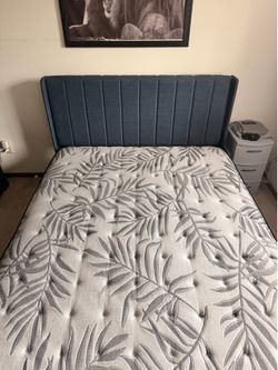 Queen  Bed With Mattress And Protector – Excellent Condition