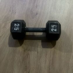 Dumbbells   25 Lbs Weights 