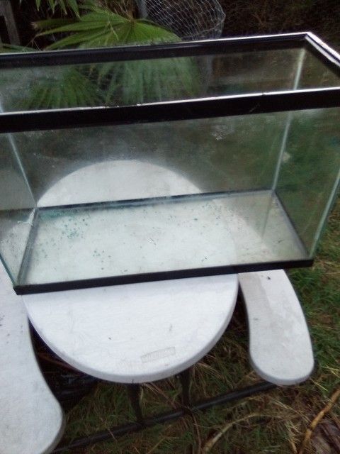 40 Gallon Glass Fish Tank