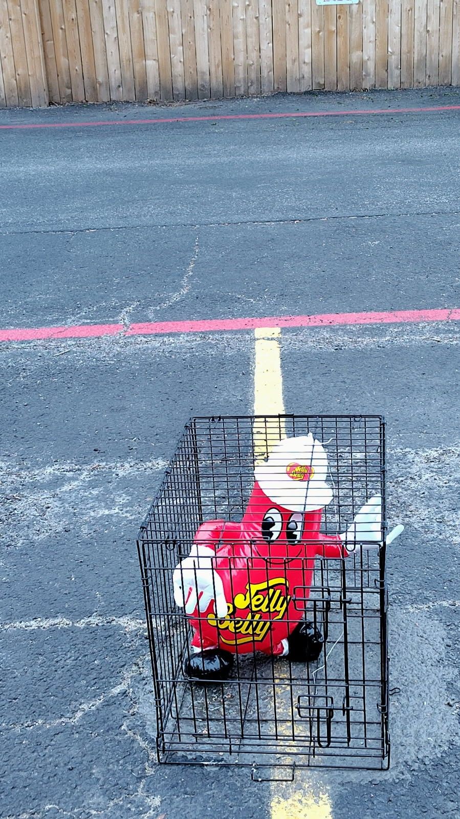 Med Pet Crate. No Tray . Easy To Make One