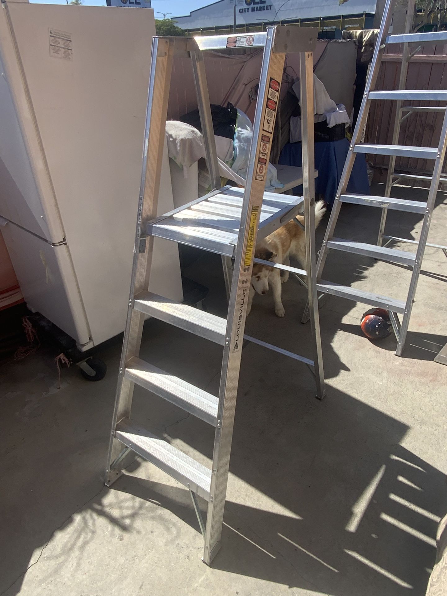 Ladder