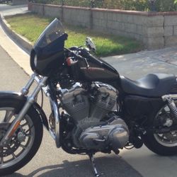 2005 Harley 883 sportster
