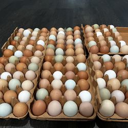 Fresh Pasture Chicken Eggs 