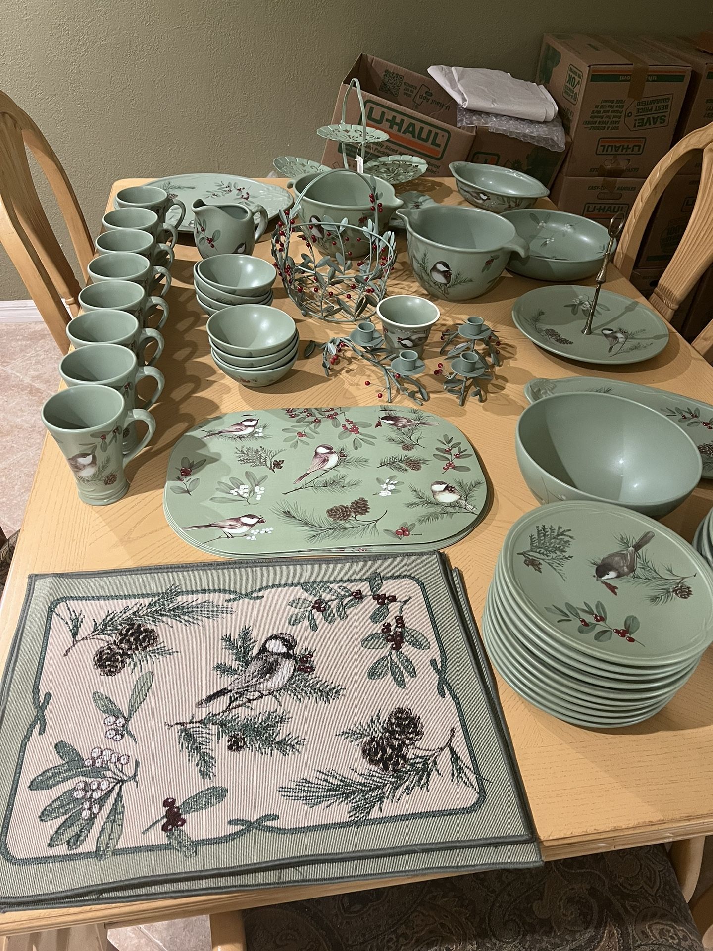 66 Piece Pfaltzgraff Winterwood Stonewear Set