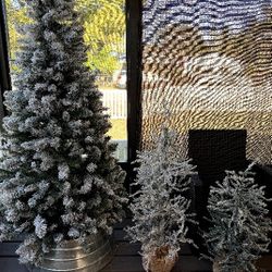 Christmas tree and decorations 