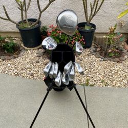 Golf Clubs Set
