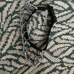 Puppy Training Collar