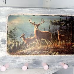 Rustic Sassy Southern Wall Mount 