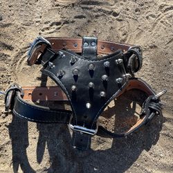 Hardness Leather Spike (medium)