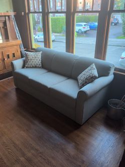 Basically New Pull-Out Couch: Must go Soon!