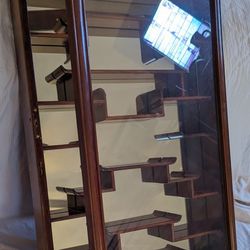 Antique Chinese Rosewood Curio Wall Display Case with mother of pearl inlay