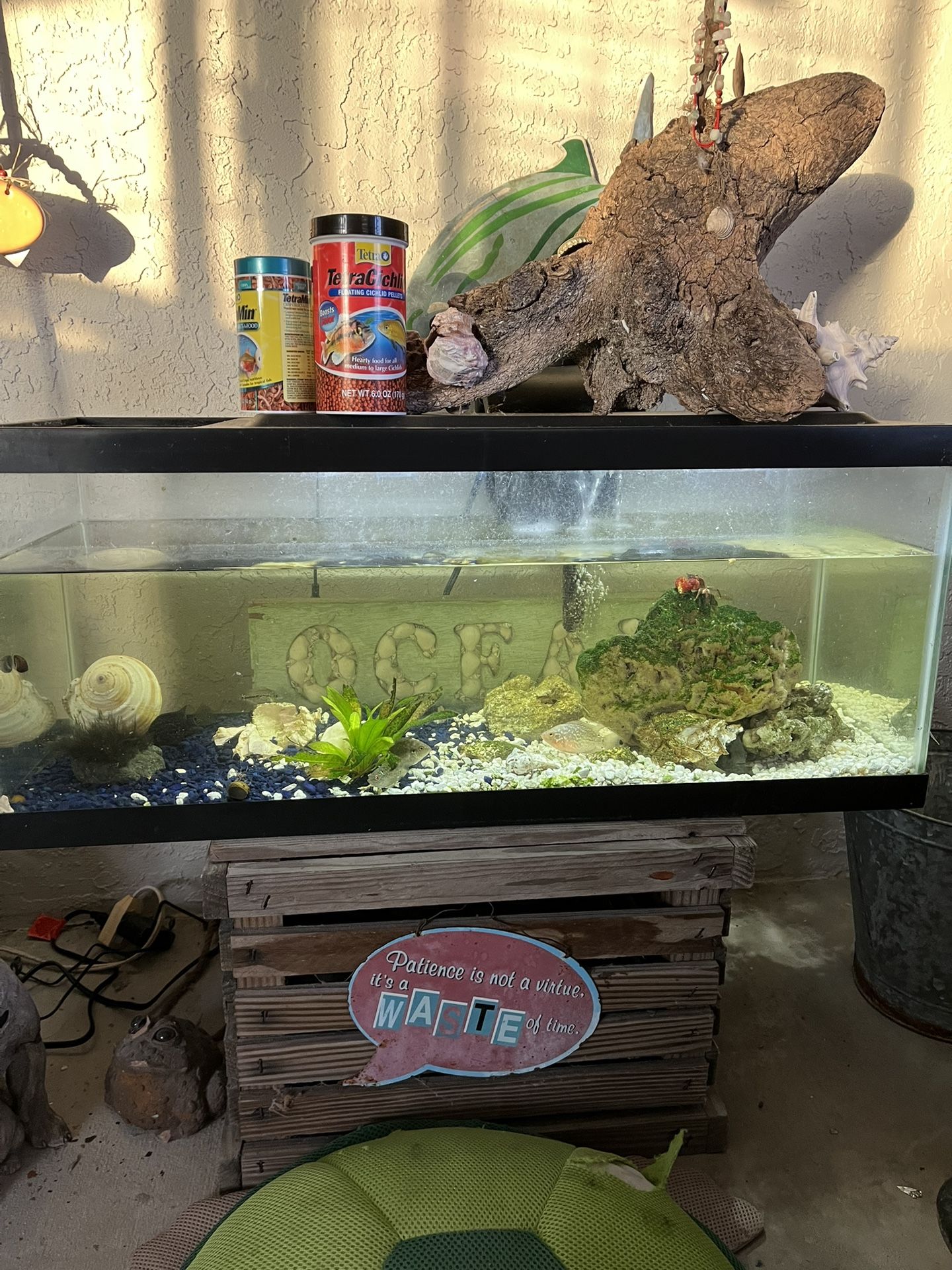 Fish Tank
