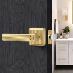 Gold Keyless Door Handle