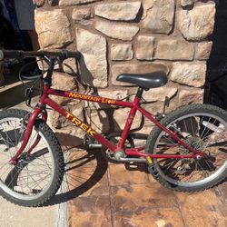 Kids Trek Mountain Bike