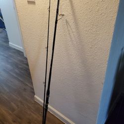 9 Ft Spinning Rod