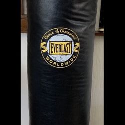 100 lb Punching Bag with Gloves