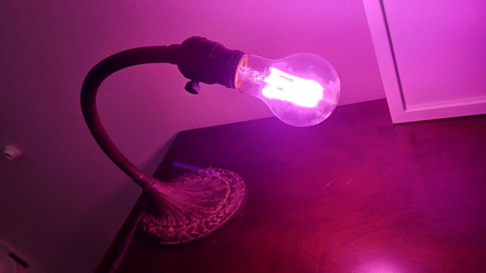 Early electric vintage industrial office desk lamp, cast iron metal gooseneck work / task light