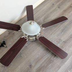 Ceiling Fans