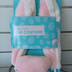 Easter Bunny 🐰 Car Decoration 