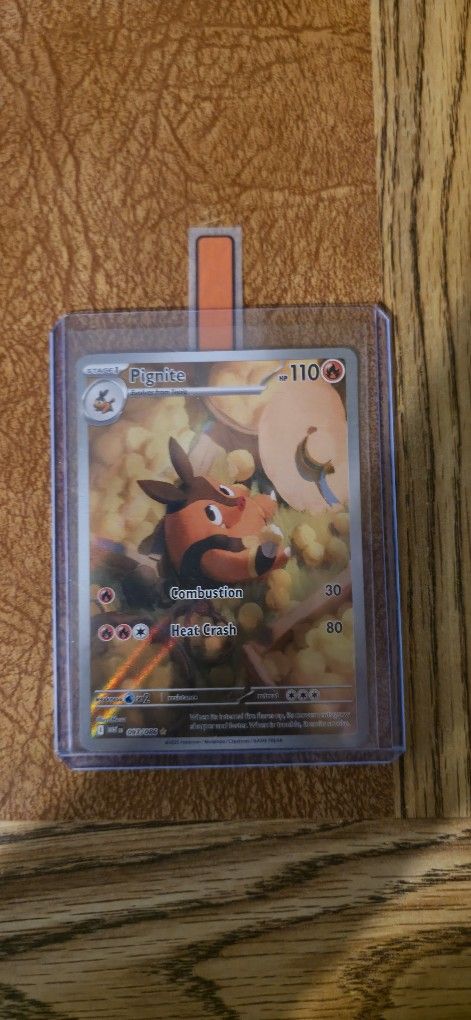 Pokemon Card