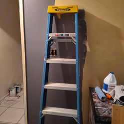 Werner 6Ft ladder