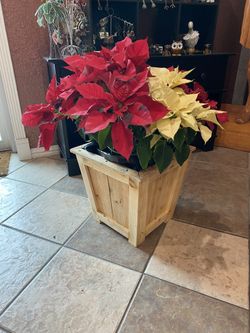 Wood Flower Planters / Macetero de Madera