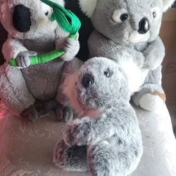 Koala Stuffed Animals 