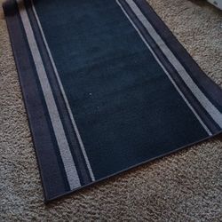 Carpet In Door Or Out Side Or Garage Nice 10.00