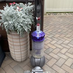 Dyson Ball Animal DC 41 Upright Bagless Vacuum EXCELLENT Used Condition