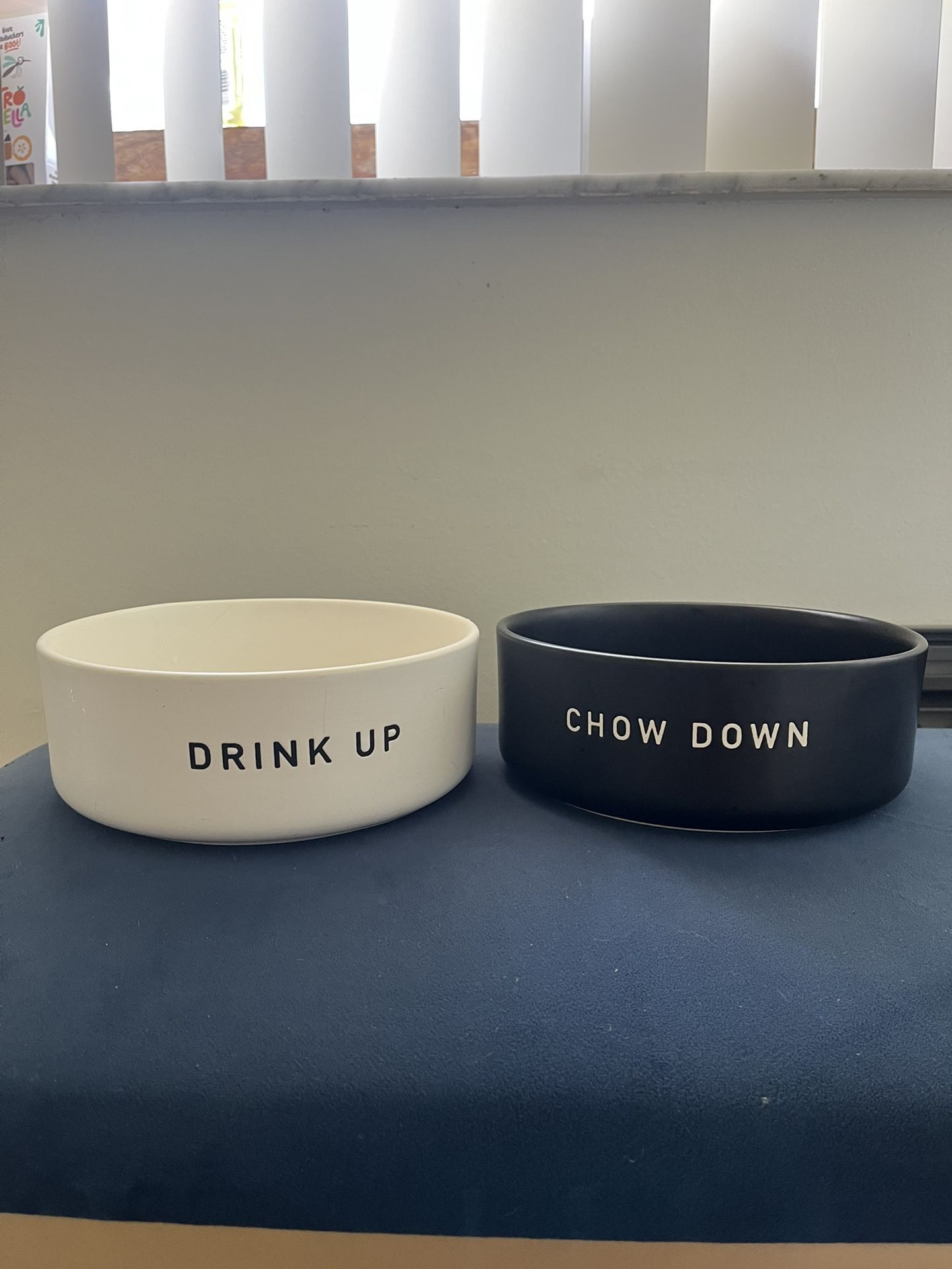 Dog Bowl Set