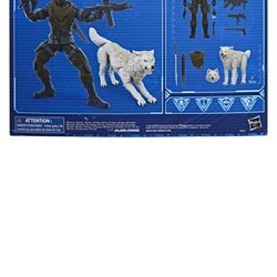 snake eyes with wolf 