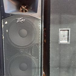 PEAVEY SP6