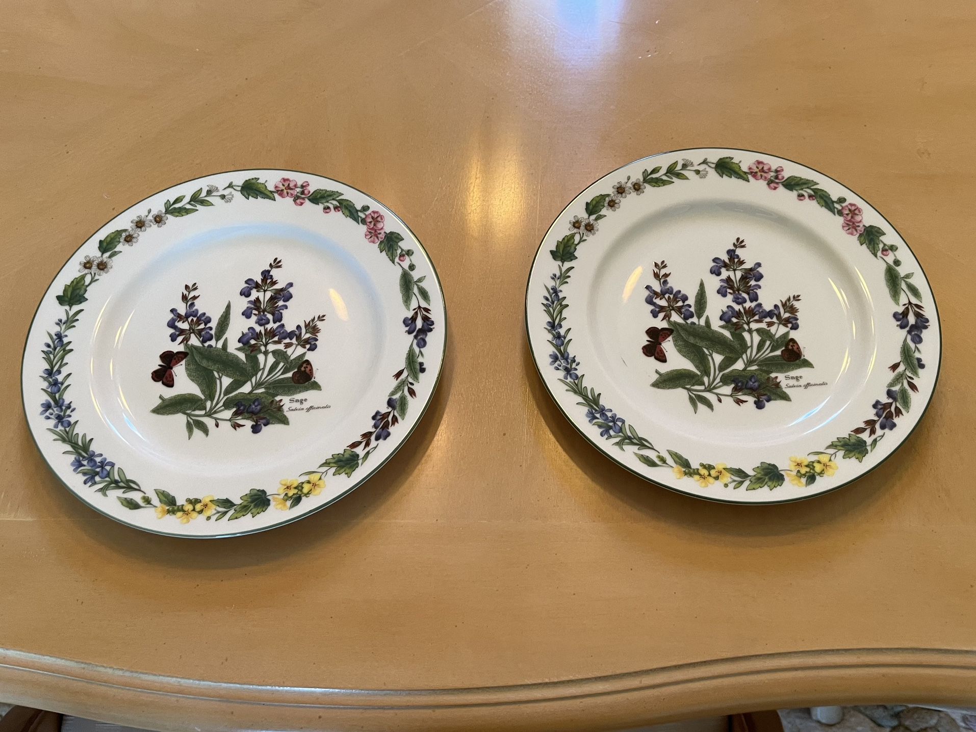 Royal Worcester Herbs China 8.5” Diameter Set Of 2