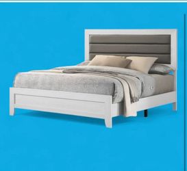 Brand new bed with optional mattress and box spring free home delivery payment after delivery