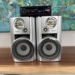 Sony Speakers + Kenwood Car Stereo