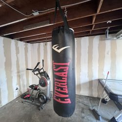 Punching Bag 