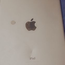 Apple iPad