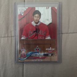 Baseball Cards 