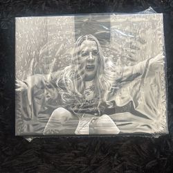 Funny Frame Canvas White chicks