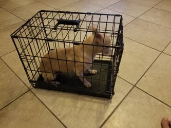 Dog crate