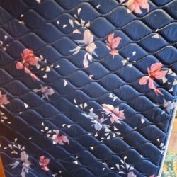 Twin Mattress In Box Spring