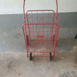 Shopping Cart and Carrier