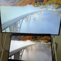 55” VIBE Board - Monitor