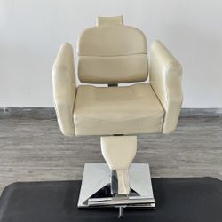 Salon Chairs 