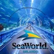 Seaworld Tickets 