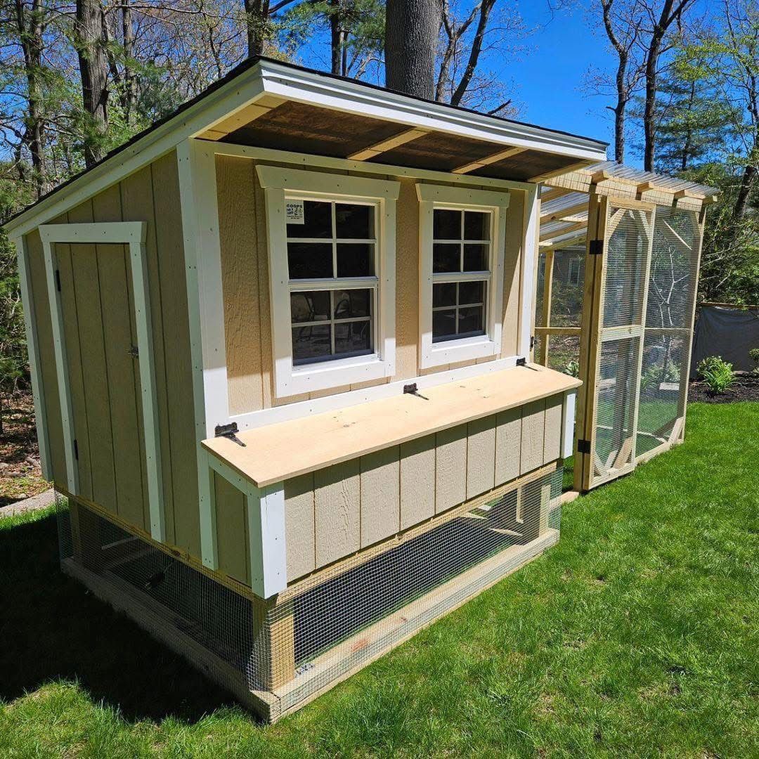 5x6 chicken coop