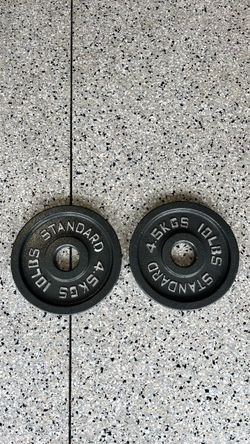 Pair of 10 lb cast iron Olympic plates, 20 lbs total.