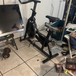 Static Ecxercite Bike SCHWINN Like New 
