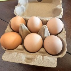 Farm Fresh Eggs !! 