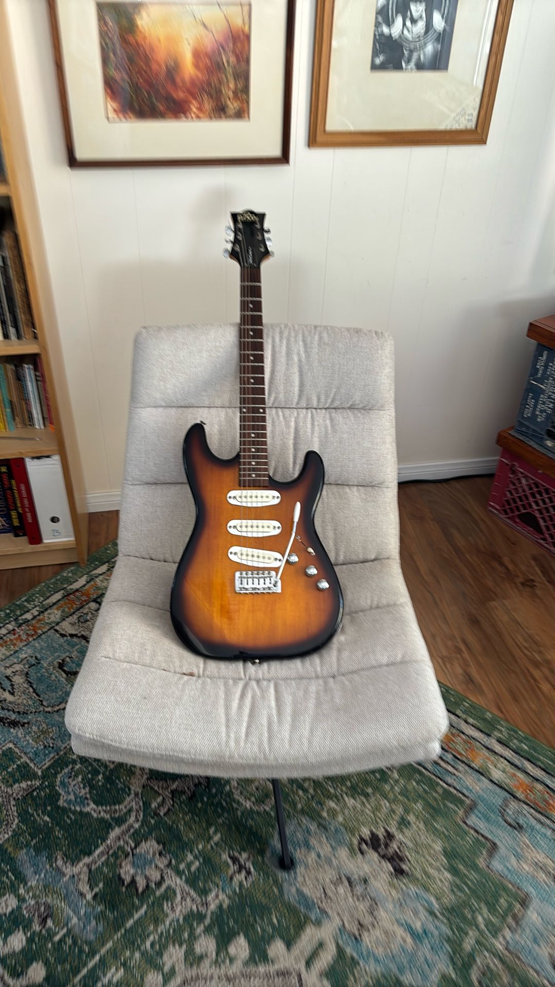 Nice beginner electric guitar guitar